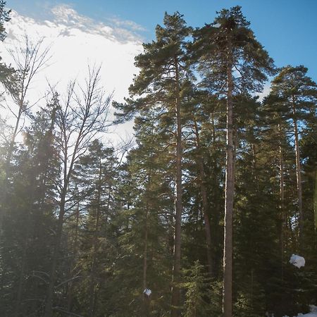Hotel Borovets Edelweiss エクステリア 写真