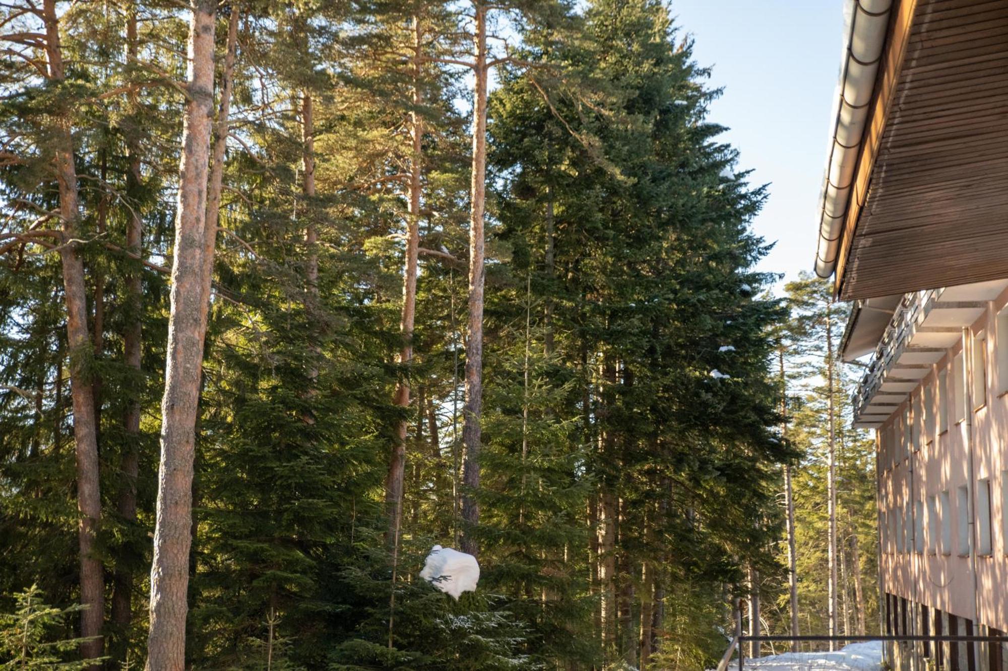 Hotel Borovets Edelweiss エクステリア 写真