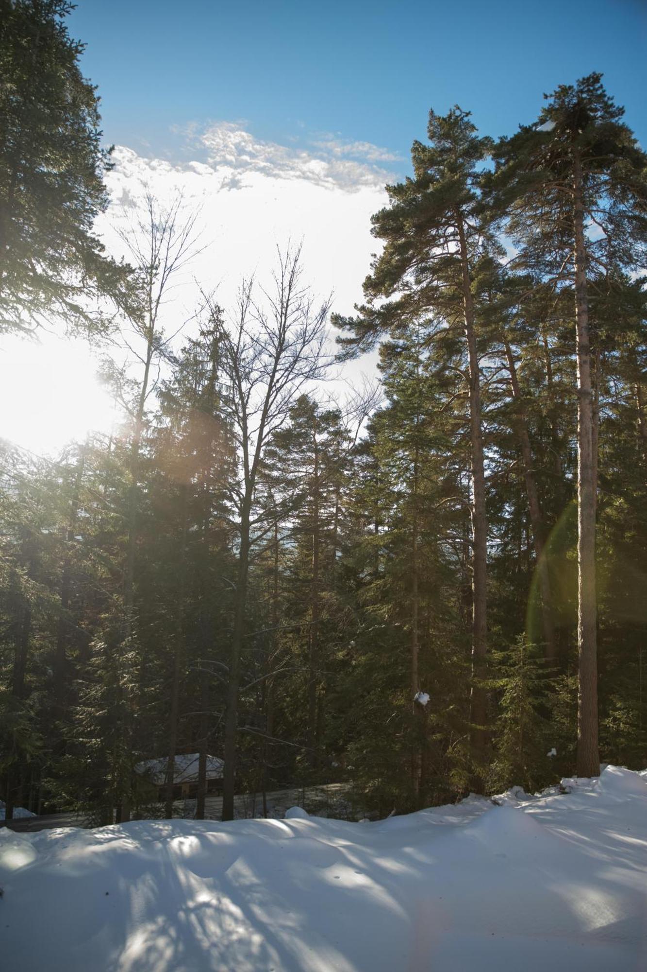 Hotel Borovets Edelweiss エクステリア 写真